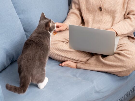 Graphic Image - GW Elementor Addons by Greatives