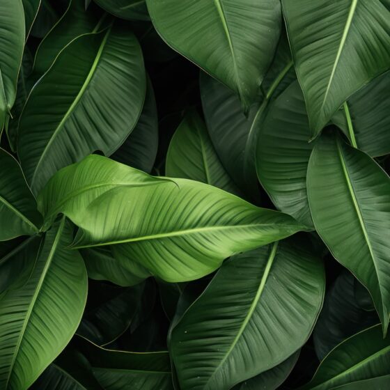 Graphic Image - GW Elementor Addons by Greatives