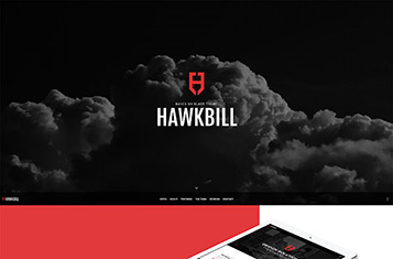 Hawkbill Demo