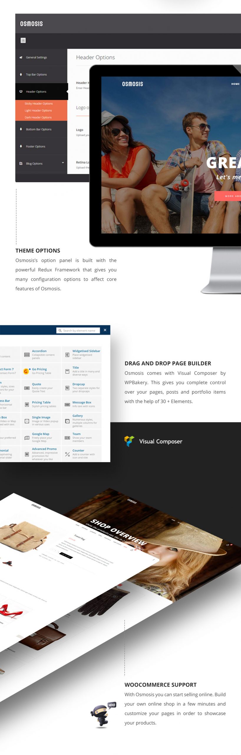 Osmosis Responsive WP theme