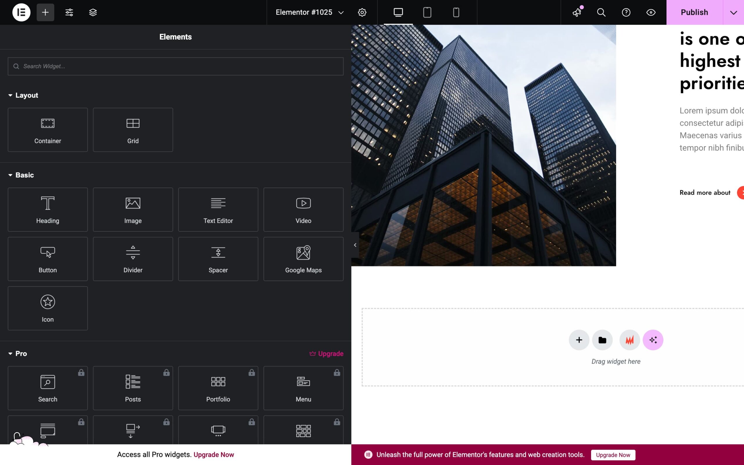 Elementor interface and elements
